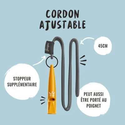 Rudelkönig Sifflet pour chien professionnel