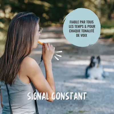 Rudelkönig Sifflet pour chien professionnel