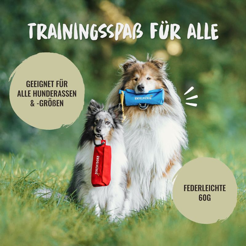 Rudelkönig Dummy Apport pour chien