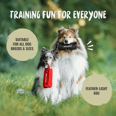 Rudelkönig Dummy Apport pour chien