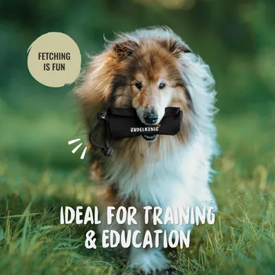 Rudelkönig Dummy Apport pour chien