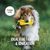 Rudelkönig Dummy Apport pour chien
