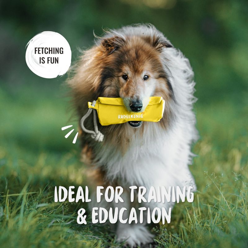 Rudelkönig Dummy Apport pour chien