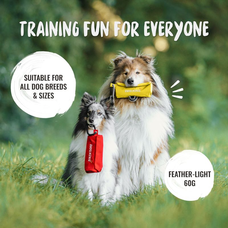 Rudelkönig Dummy Apport pour chien