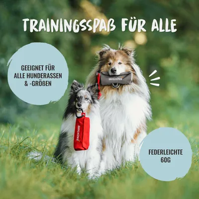 Rudelkönig Dummy Apport pour chien