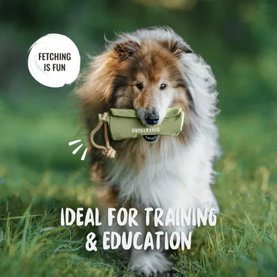 Rudelkönig Dummy Apport pour chien