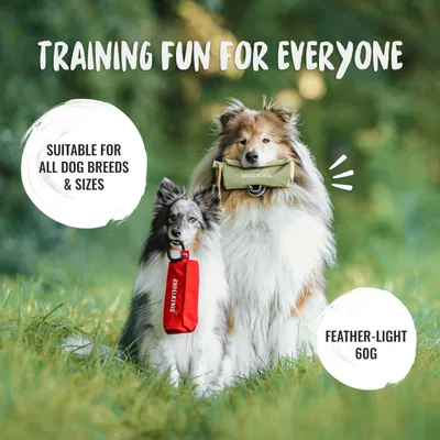 Rudelkönig Dummy Apport pour chien