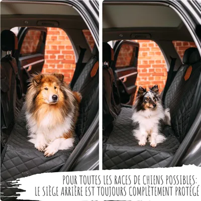 Rudelkönig Couverture siège arrière pour chiens