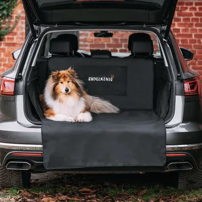 Rudelkönig Protection pour coffre de voiture