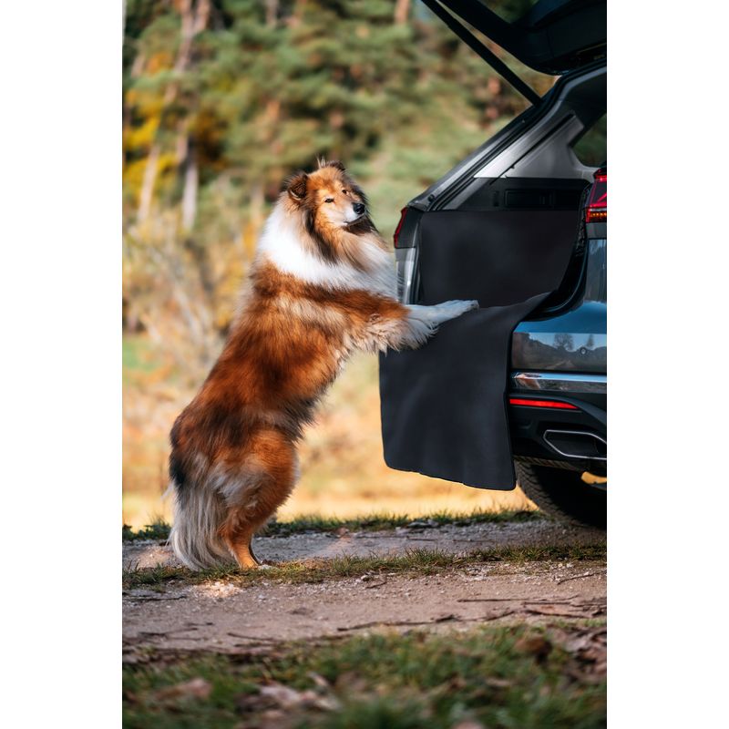 Rudelkönig Protection pour coffre de voiture