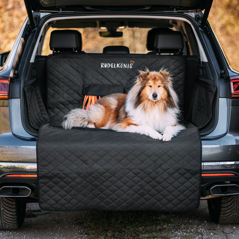 Rudelkönig Protection pour coffre de voiture