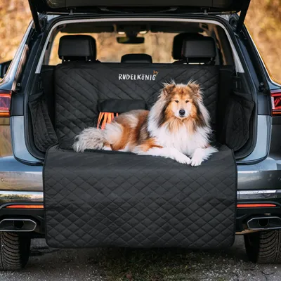 Rudelkönig Protection pour coffre de voiture