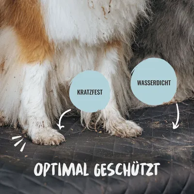 Rudelkönig Kofferraumschutz für Hunde wasserfest