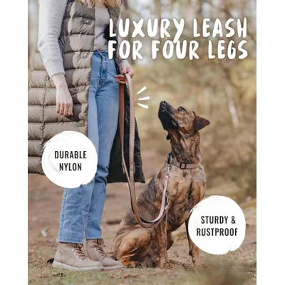 Rudelkönig Laisse pour chien Paola avec rembourrage réfléchissant