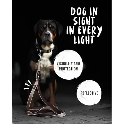 Rudelkönig Laisse pour chien Paola avec rembourrage réfléchissant