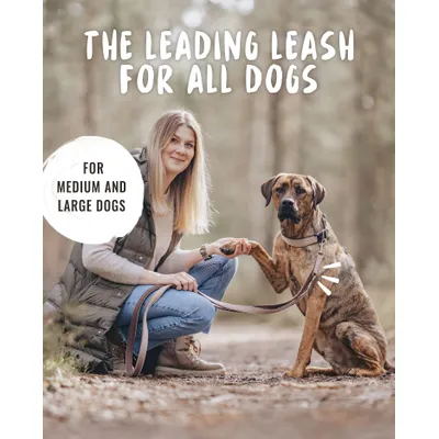 Rudelkönig Laisse pour chien Paola avec rembourrage réfléchissant