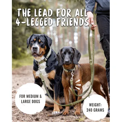 Rudelkönig laisse pour chien Bella reglable