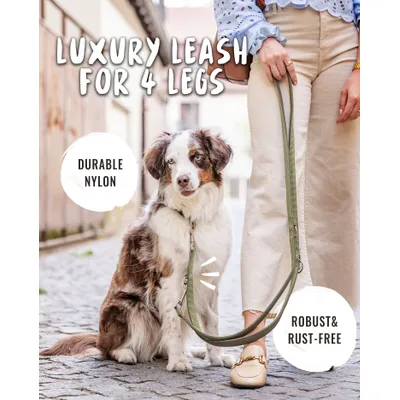 Rudelkönig laisse pour chien Bella reglable