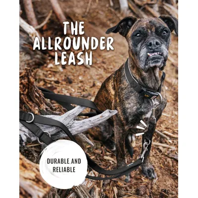 Rudelkönig Laisse pour chien Frida réglable