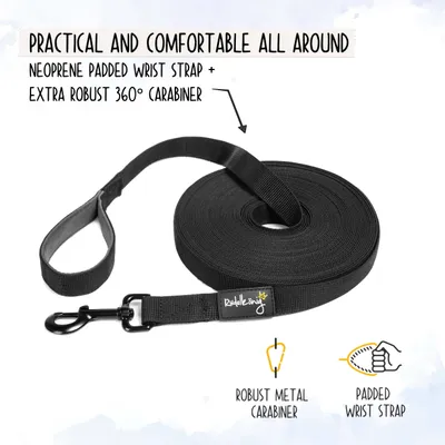 Rudelkönig Laisse pour chien