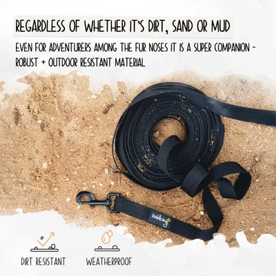 Rudelkönig Laisse pour chien