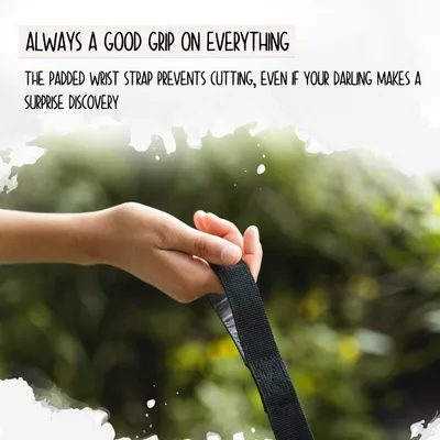 Rudelkönig Laisse pour chien