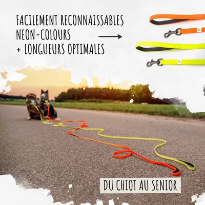 Rudelkönig Lounge pour chien - 5/10m Laisse avec dragonne