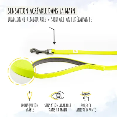 Rudelkönig Lounge pour chien - 5/10m Laisse avec dragonne