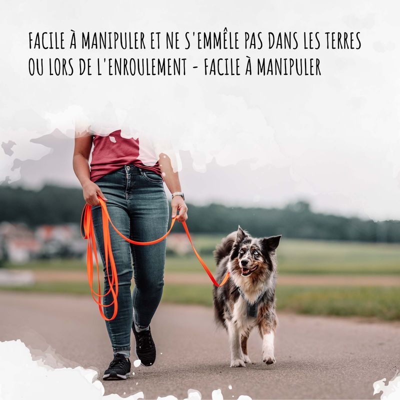 Rudelkönig Lounge pour chien - 5/10m Laisse avec dragonne