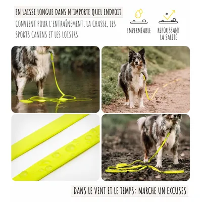 Rudelkönig Lounge pour chien - 5/10m Laisse avec dragonne