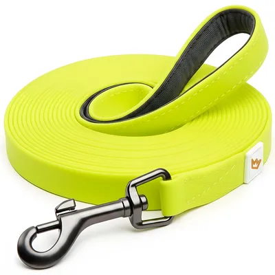 Rudelkönig Lounge pour chien - 5/10m Laisse avec dragonne