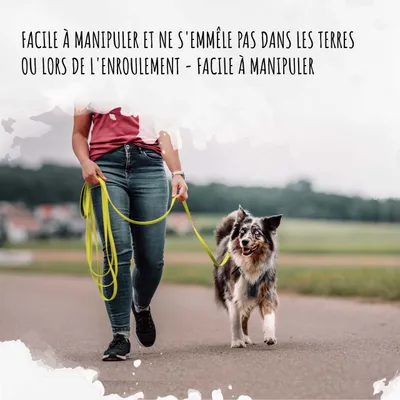 Rudelkönig Lounge pour chien - 5/10m Laisse avec dragonne