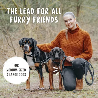Rudelkönig Laisse pour chien Paola avec rembourrage réfléchissant
