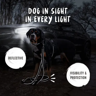 Rudelkönig Laisse pour chien Paola avec rembourrage réfléchissant