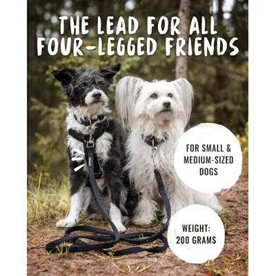 Rudelkönig laisse pour chien Bella reglable