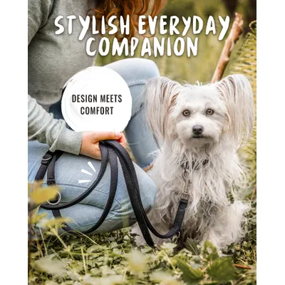 Rudelkönig laisse pour chien Bella reglable