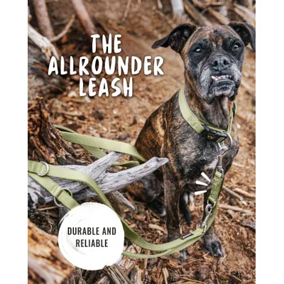 Rudelkönig Laisse pour chien Frida réglable