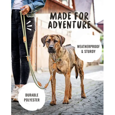 Rudelkönig Laisse pour chien Emma reglable