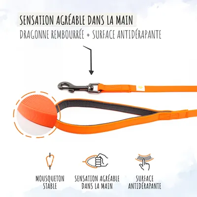 Rudelkönig Lounge pour chien - 5/10m Laisse avec dragonne