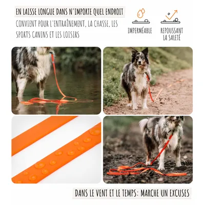 Rudelkönig Lounge pour chien - 5/10m Laisse avec dragonne