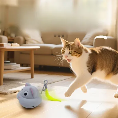 IntiMeg Jouet pour chat en forme de souris mobile