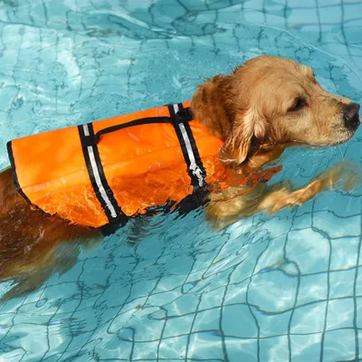 UAMLY Hundeschwimmweste UAMLY Hundeschwimmweste