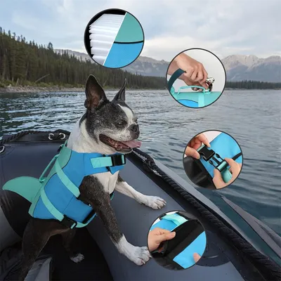 Petopia Gilet de sauvetage pour chien en forme de requin