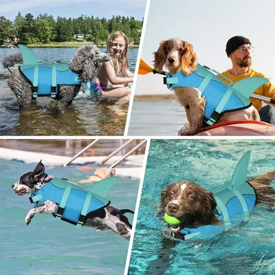Petopia Gilet de sauvetage pour chien en forme de requin