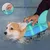 Petopia Gilet de sauvetage pour chien en forme de requin