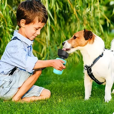 FurryFusion Bouteille de voyage pour animaux de compagnie 520 ml