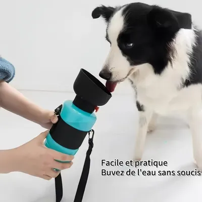 FurryFusion Bouteille de voyage pour animaux de compagnie 520 ml