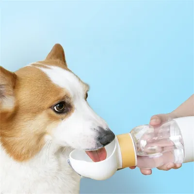 ZenPets Botella de agua para perros para usar fuera de casa