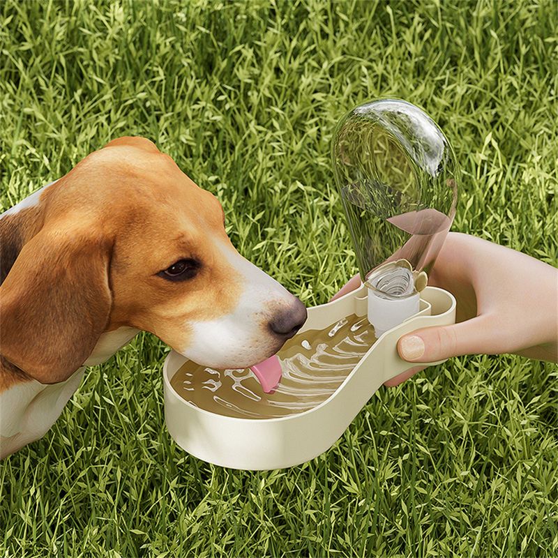 Petopia Goûter et gobelet d'eau portatif pour chien et chat