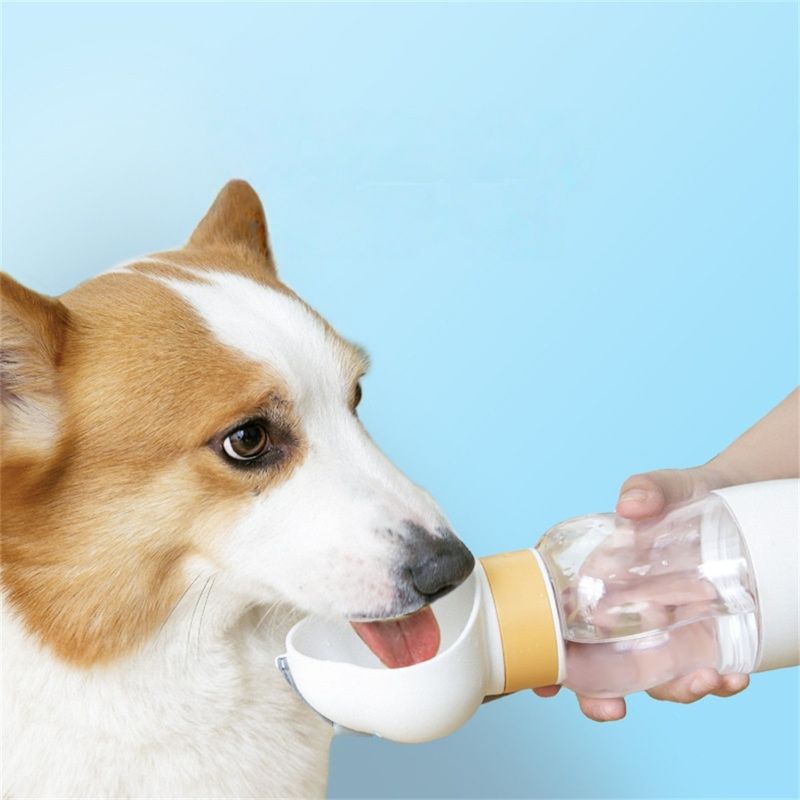 ZenPets Bouteille d'eau pour chien en déplacement